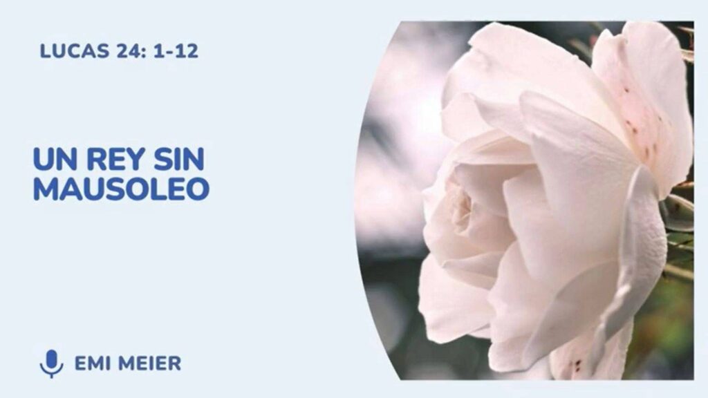 La Resurrección de Jesucristo representada por una rosa blanca