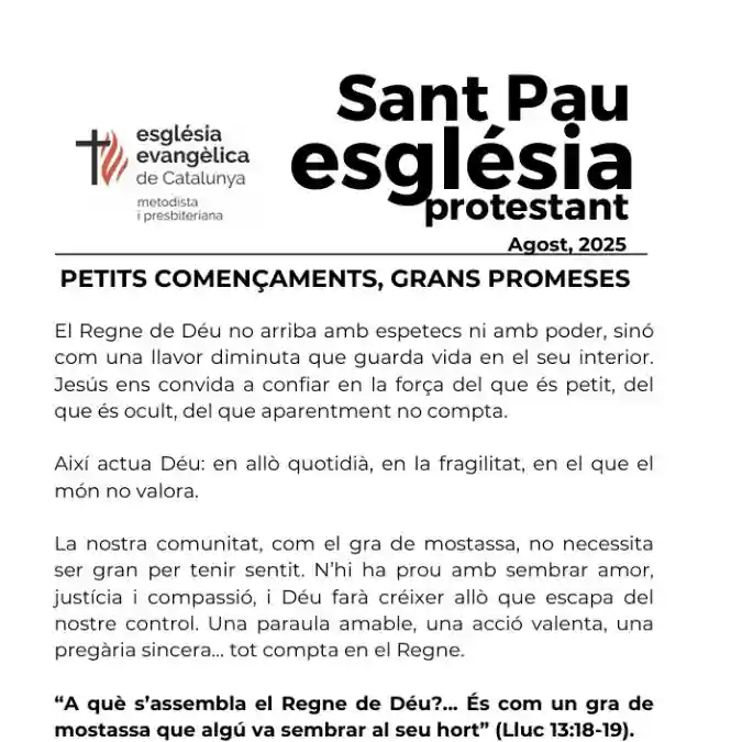 Butlletí agost Sant Pau - llavor de mostassa brotant