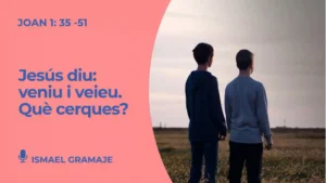 Jesús diu veniu i veieu reflexió sobre la fe com a procés segons l’Evangeli de Joan