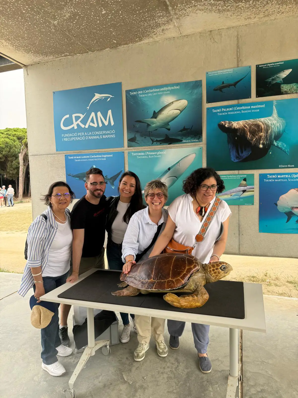Membres de la comunitat durant una visita al centre de recuperació d’animals marins.